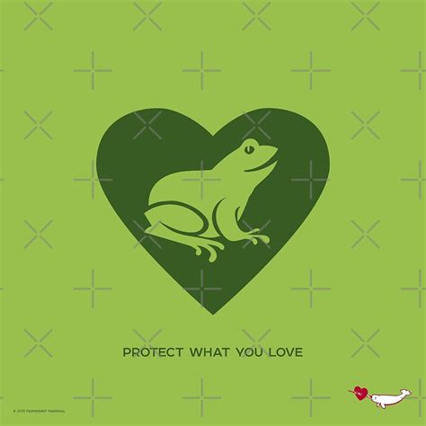 Love Frogs By Pepomintnarwhal Redbubble