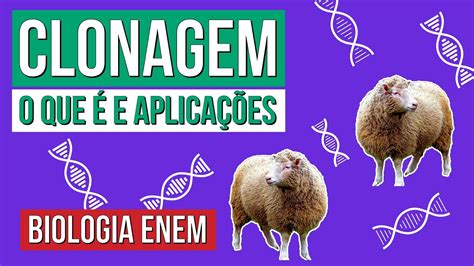 Clonagem O Que E Aplica Es Resumo De Biologia Para O Enem