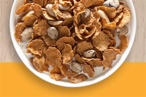 Raisin Nut Bran – Brands – Food we make - General Mills