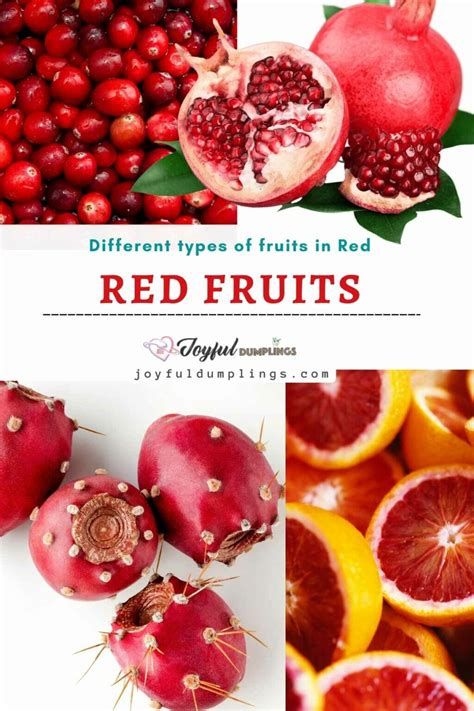 24 Best Red Fruits (Fruits in Red) For Your Health » Joyful Dumplings