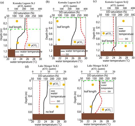 Vertical Profile Of Water Temperature Dissolved Oxygen DO And PCO2