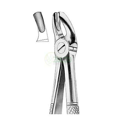 Extracting Forceps English Pattern Fig Upper Molars Left