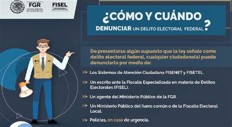 C Mo Y Cu Ndo Denunciar Un Delito Electoral Federal