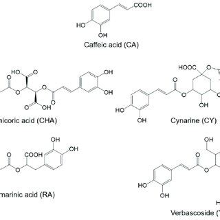 Structures of the added phenolic acid derivatives. | Download Scientific Diagram