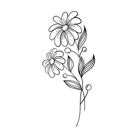 Vector illustration isolated on white background. Black lines flowers ...