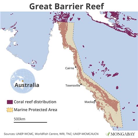 La Grande Barriera Corallina Si Sta Ancora Sbiancando E L Area