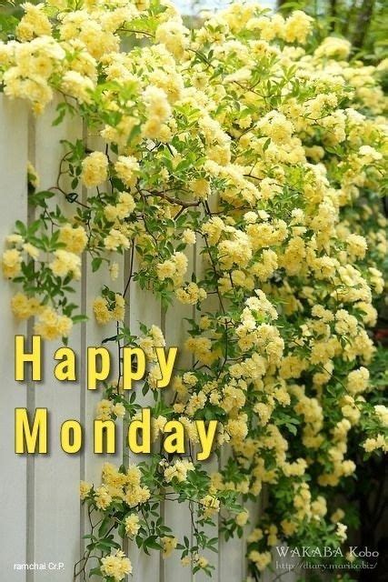 Pin By Debbie Pins On Greet The Day Happy Monday Good Morning