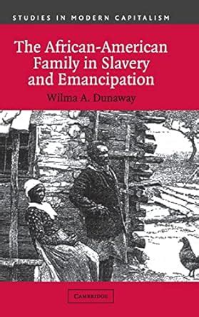 The African-American Family in Slavery and Emancipation: Buy Online at ...