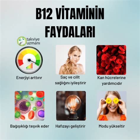 B Vitamini Faydalar Bilimsel Kan Tl Fayda Takviye Uzman