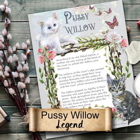 Pussy Willow Etsy