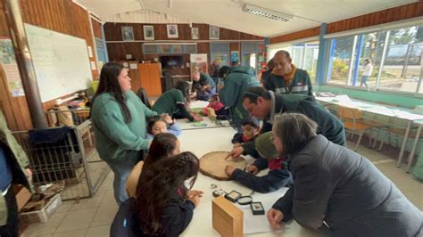 Cuidemos Nuestro Bosque Nativo SAG Presenta Juego Para Preescolares