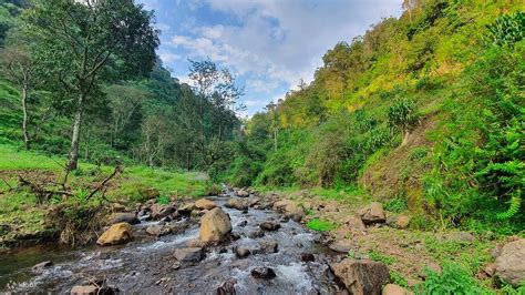 Experience The Beauty Of Materuni Waterfalls And Coffee Plantation In