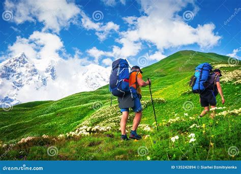 Hiking in summer mountains stock photo. Image of backpacking - 135242894