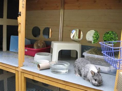 My New Outside Boarding Hutches Finished Rabbits United Forum