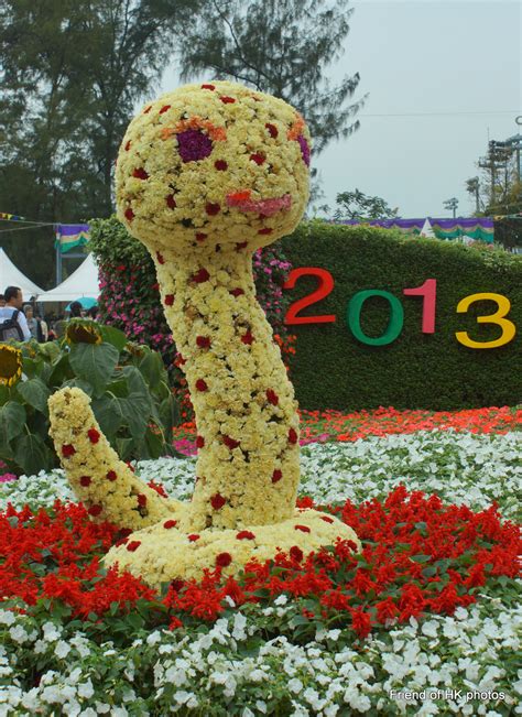 Photographic Wildlife Stories In Uk Hong Kong Hong Kong Flower Show