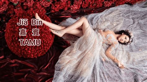 嘉賓 Jia Bin Tamu Lyrics 歌詞 Pinyin Youtube