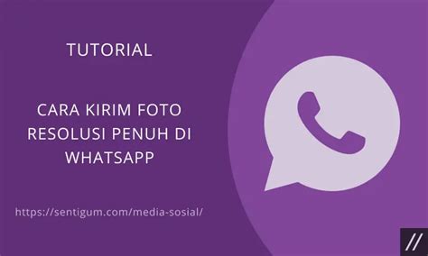 Cara Kirim Foto Resolusi Penuh Di WhatsApp