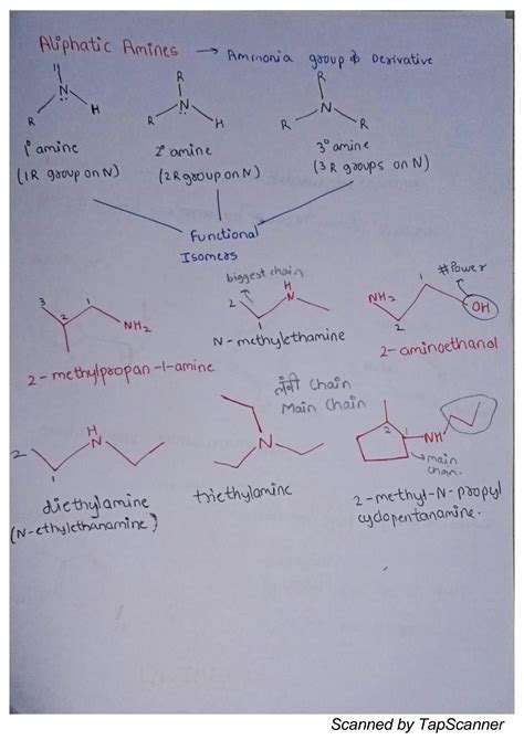 Solution Amines Explained Notes Studypool