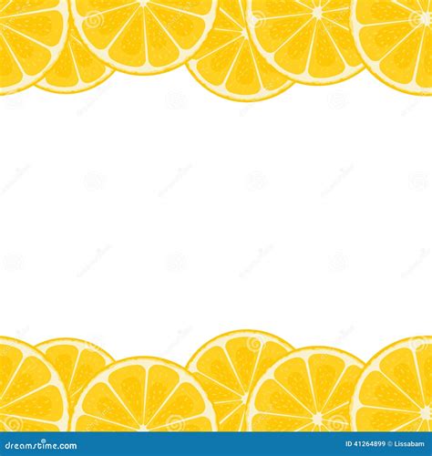 Lemon Border Vector Drawing Citrus Fruit Frame Template