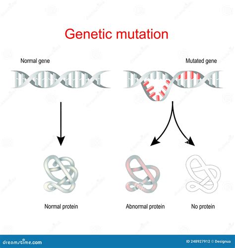 Genetic Mutation. Normal Gene and Mutated DNA Stock Vector - Illustration of molecular, health ...