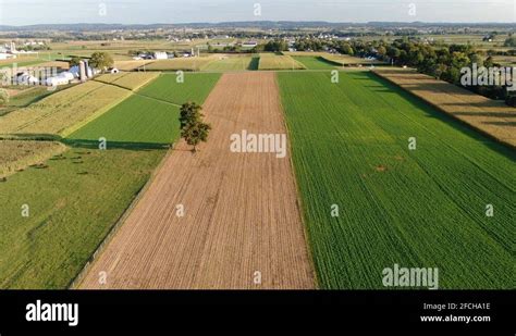 Amish farming community Stock Videos & Footage - HD and 4K Video Clips ...