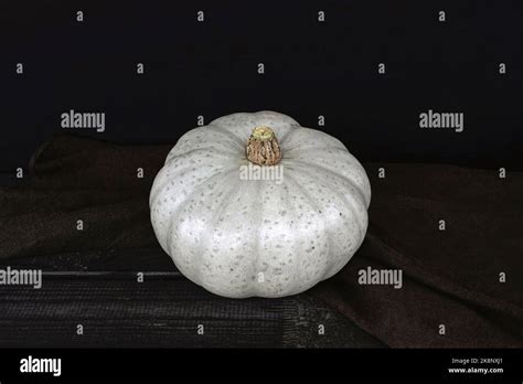 Grey Skin Crown Prince Pumpkin With Black Background Stock Photo Alamy