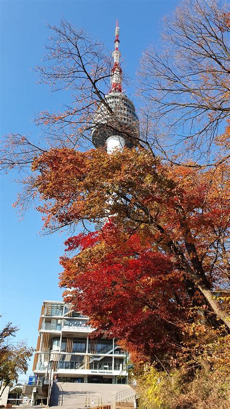 Fall Namsan Tower City - Free photo on Pixabay - Pixabay