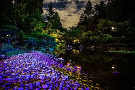 Moon Viewing 2023 | Day 02 - Sat — Seattle Japanese Garden