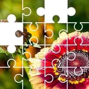 Flower Daisy Red Jigsaw Puzzle - JigZone.com