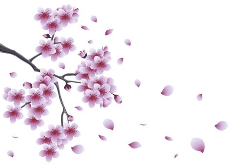 Free Spring Png Transparent Images Download Free Spring Png