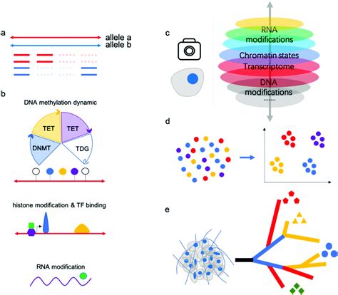 Single Cell Multi Omics