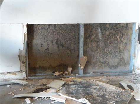 Indoor Air Quality Testing And Mold Remediation – Enviromental