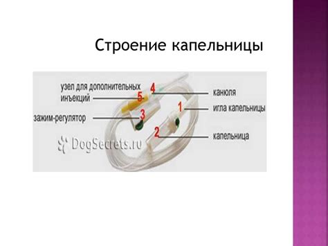 Внутривенные инъекции - презентация онлайн