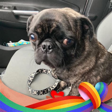 Weird History - Favorite Movies That Are Major Red Flags | Facebook