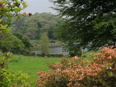 Caerhays Castle – Cornwall Wildlife Trust - .....blog pages