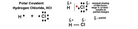 Explain why hydrogen chloride can be termed as a polar covalent compound?