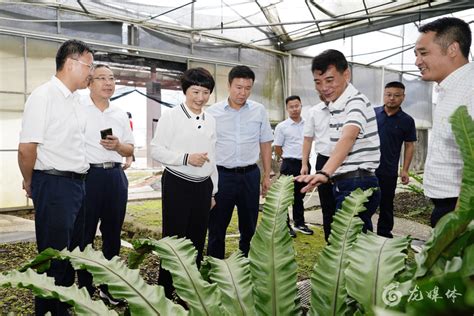 副省长卢小青在龙南调研 龙南市人民政府