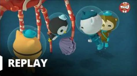 Replay Les Octonauts Du Octonauts Les Octonauts Et Le