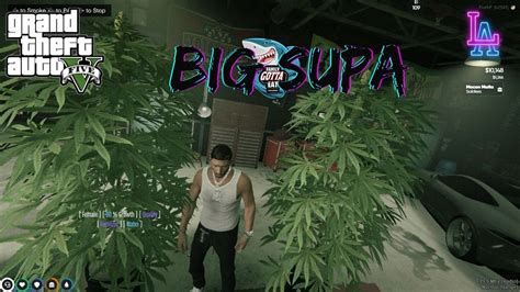 Growing Plants Everywhere Hood Roleplay Gta Rp Big Supa