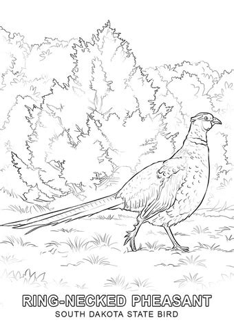 South Dakota State Bird coloring page | Free Printable Coloring Pages