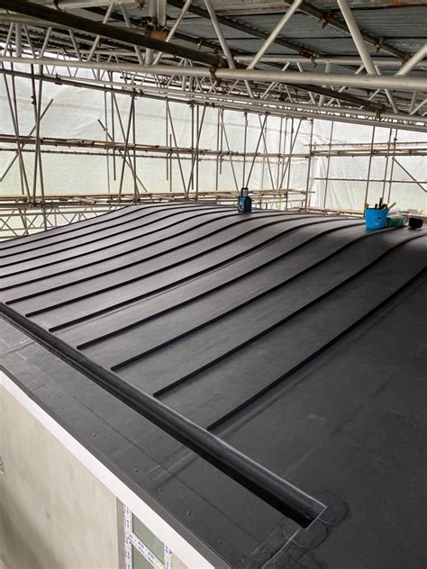 Single Ply Membrane Flat Roof