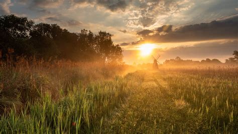 visiting wicken fen nature reserve cambs national trust