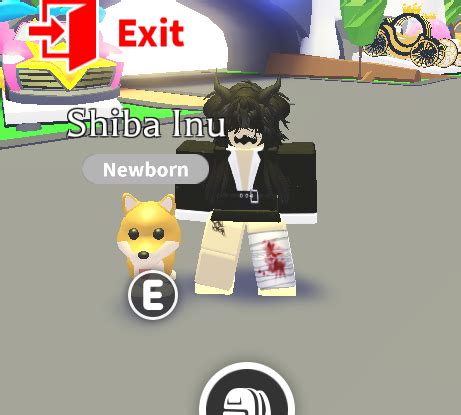 Beli Item Adopt Me Shiba Inu - Adopt Me Pet Roblox Terlengkap dan ...