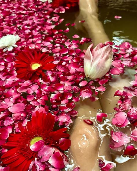 Janhvi Kapoor Hot Pictures Actress Janhvi Kapoor Sizzling Hot In Traditional Outfit At Mili