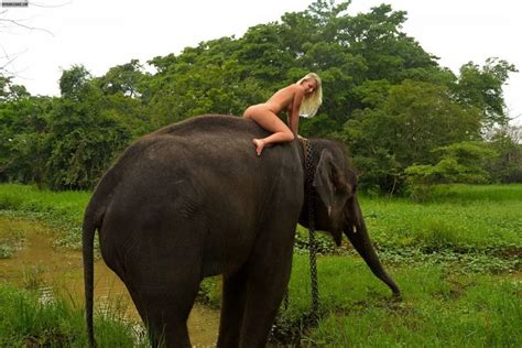Elephant Vs Girl New Hot Hot Xxxxx Sex Pictures Pass