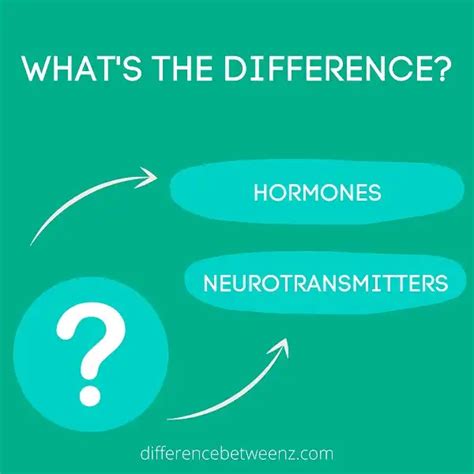 Difference Between Hormones And Neurotransmitters Difference Betweenz