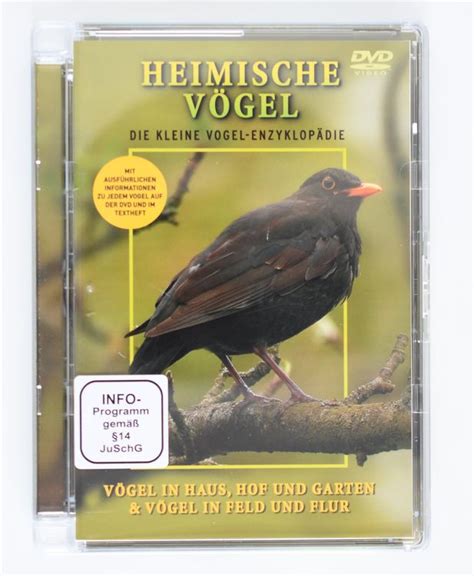 Heimische V Gel Dvd Kaufen Auf Ricardo