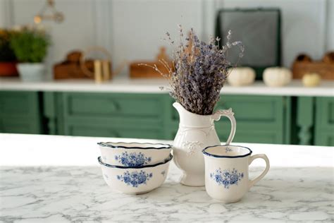 Aprende cómo plantar lavanda en casa truco fácil en una taza