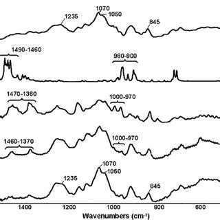 Comparison of NMR spectra of κ carrageenan and carboxymethylated κ