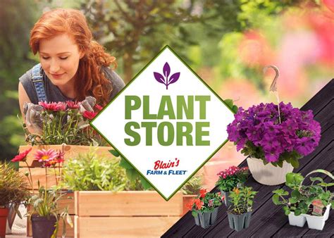 Plantstore 1050x750 Blain S Farm And Fleet Blog